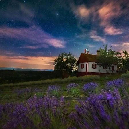 Lavanda Carasova Crasova Zewnętrze zdjęcie