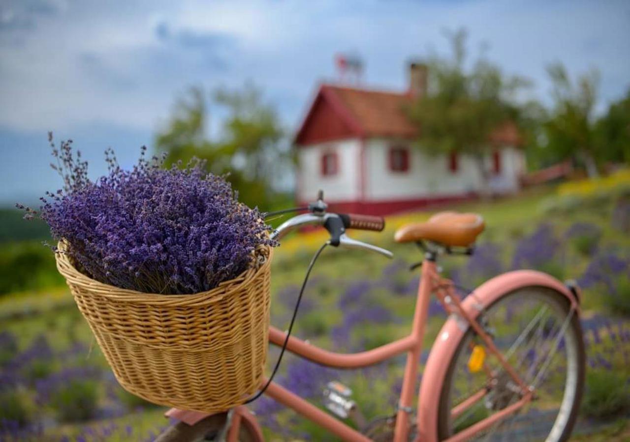 Lavanda Carasova Crasova Zewnętrze zdjęcie