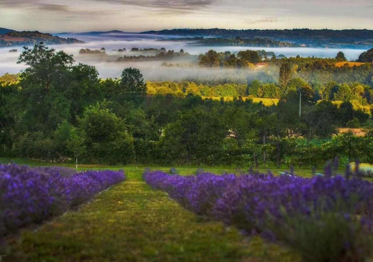 Lavanda Carasova Crasova Zewnętrze zdjęcie